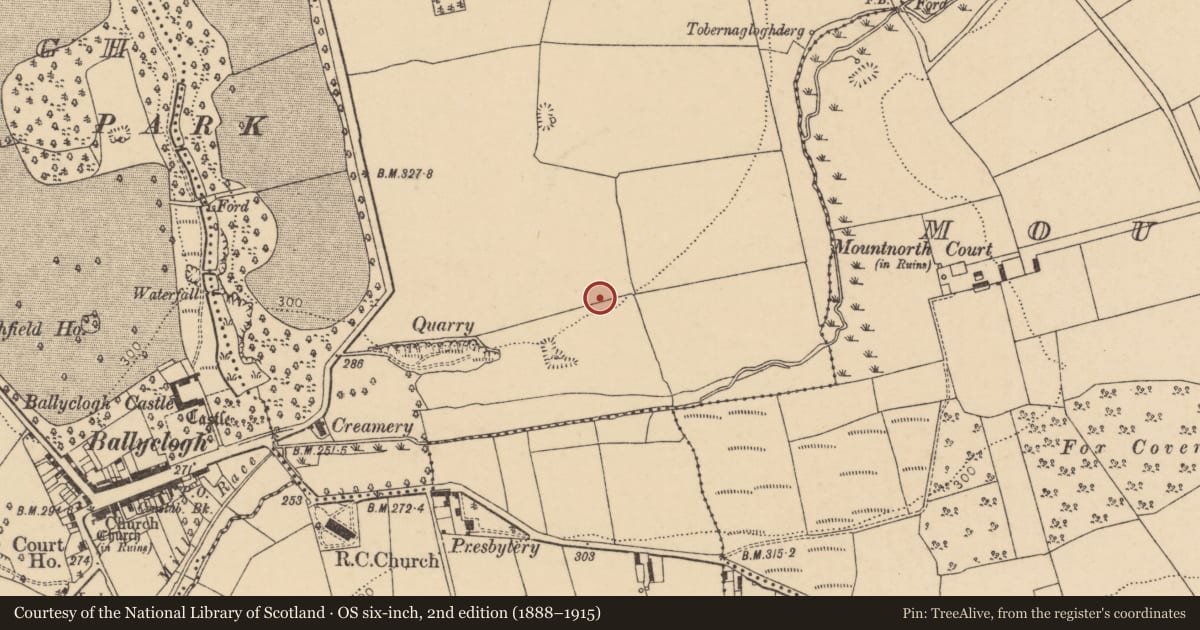 Ordnance Survey six-inch map, 2nd edition (1888–1915) covering the location of Enclosure, Lisleagh, County Cork, with a pin at the register's coordinates