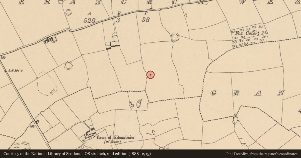 Ordnance Survey six-inch map, 2nd edition (1888–1915) covering the location of Enclosure, Boherascrub West, County Cork, with a pin at the register's coordinates