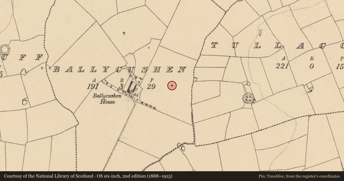 Ordnance Survey six-inch map, 2nd edition (1888–1915) covering the location of Pit, Ballycushen, County Cork, with a pin at the register's coordinates