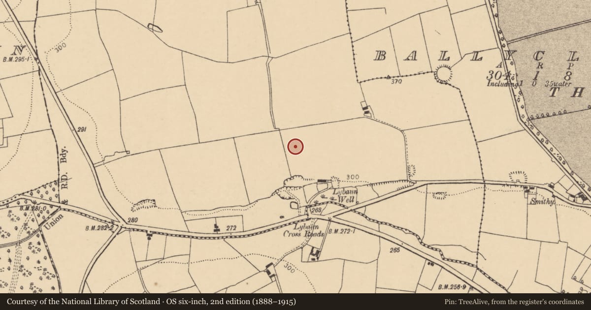 Ordnance Survey six-inch map, 2nd edition (1888–1915) covering the location of Ringfort - rath, Scart (Orrery and Kilmore By., Ballyclogh Par.), County Cork, with a pin at the register's coordinates