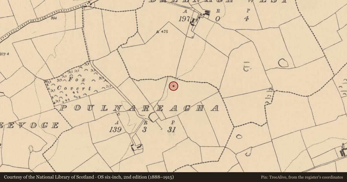 Ordnance Survey six-inch map, 2nd edition (1888–1915) covering the location of Enclosure, Poulnareagha, County Cork, with a pin at the register's coordinates