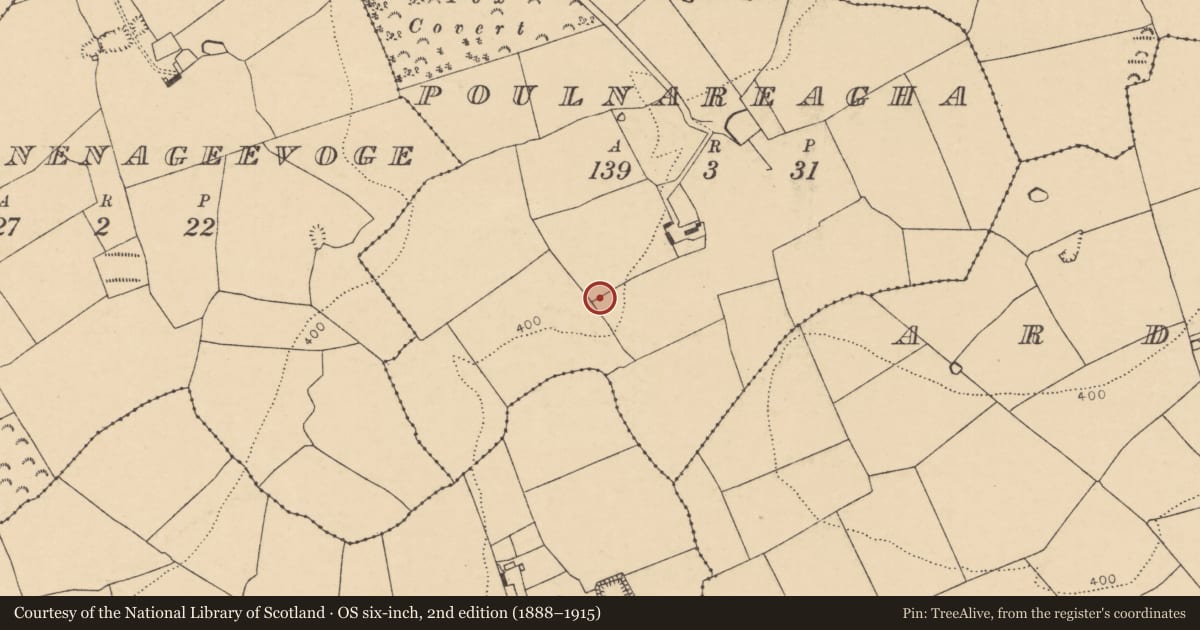 Ordnance Survey six-inch map, 2nd edition (1888–1915) covering the location of Enclosure, Poulnareagha, County Cork, with a pin at the register's coordinates