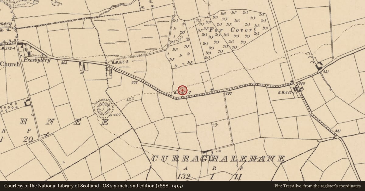 Ordnance Survey six-inch map, 2nd edition (1888–1915) covering the location of Enclosure, Mountnorth, County Cork, with a pin at the register's coordinates