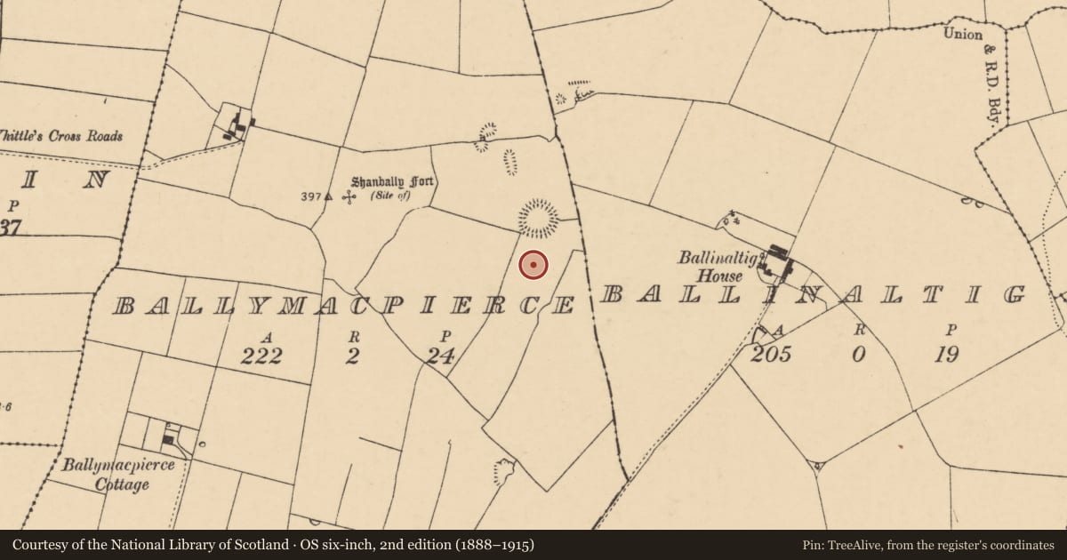 Ordnance Survey six-inch map, 2nd edition (1888–1915) covering the location of Ring-ditch, Ballymacpierce, County Cork, with a pin at the register's coordinates