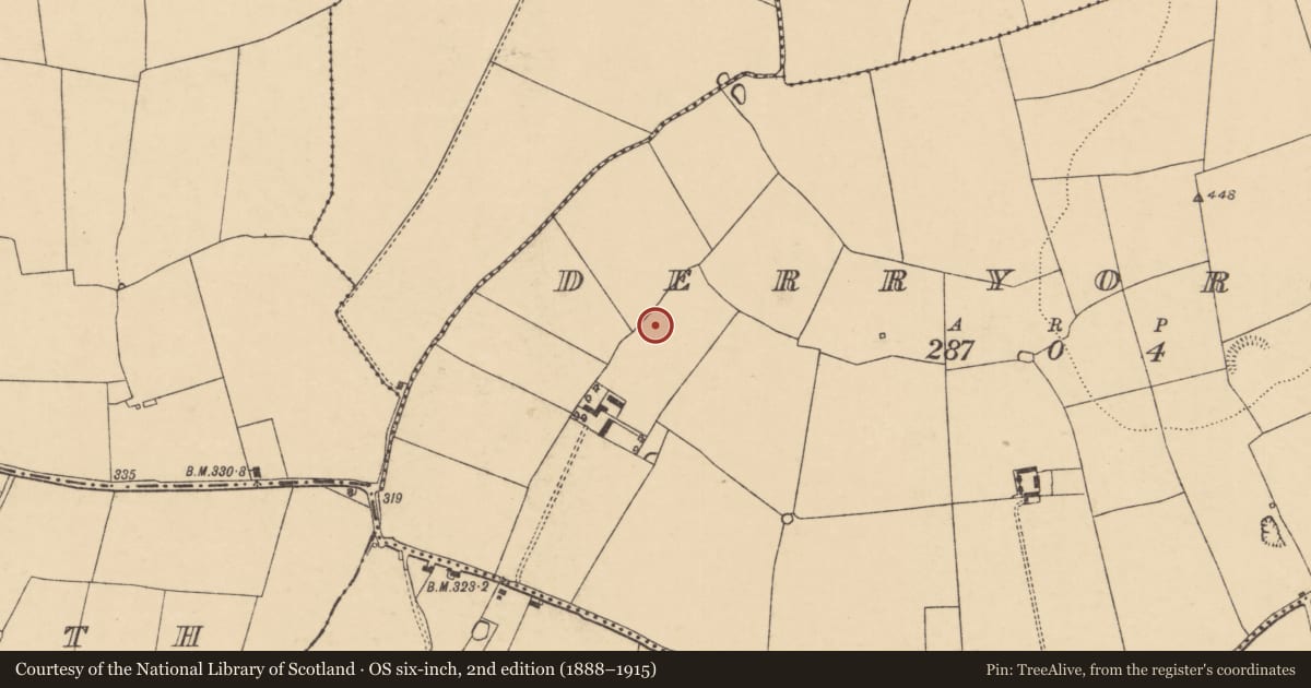 Ordnance Survey six-inch map, 2nd edition (1888–1915) covering the location of Enclosure, Derryorgan, County Cork, with a pin at the register's coordinates
