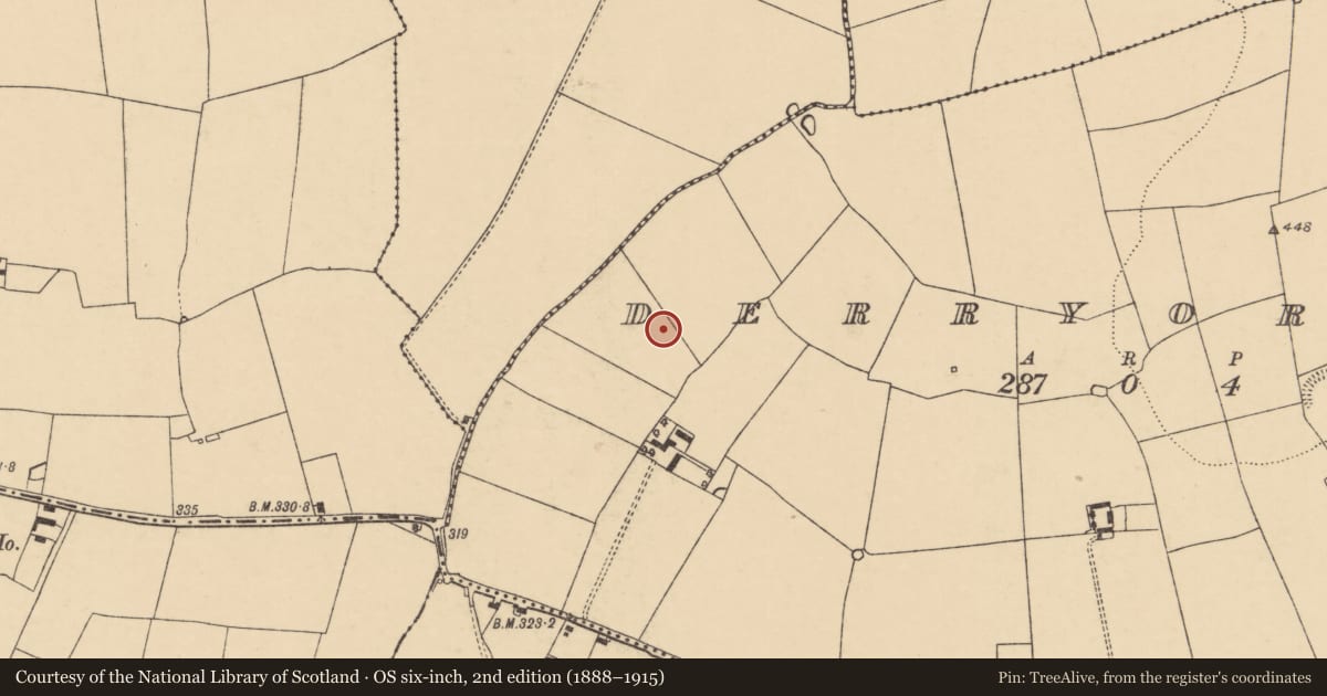 Ordnance Survey six-inch map, 2nd edition (1888–1915) covering the location of Enclosure, Derryorgan, County Cork, with a pin at the register's coordinates