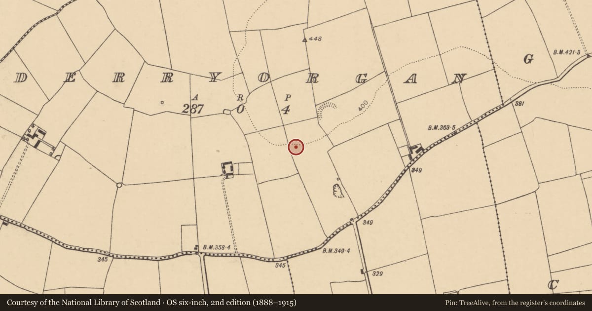 Ordnance Survey six-inch map, 2nd edition (1888–1915) covering the location of Enclosure, Derryorgan, County Cork, with a pin at the register's coordinates