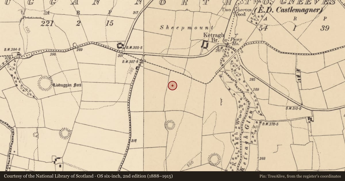 Ordnance Survey six-inch map, 2nd edition (1888–1915) covering the location of Ring-ditch, Castlemagner, County Cork, with a pin at the register's coordinates