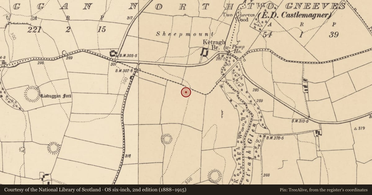 Ordnance Survey six-inch map, 2nd edition (1888–1915) covering the location of Ring-ditch, Castlemagner, County Cork, with a pin at the register's coordinates