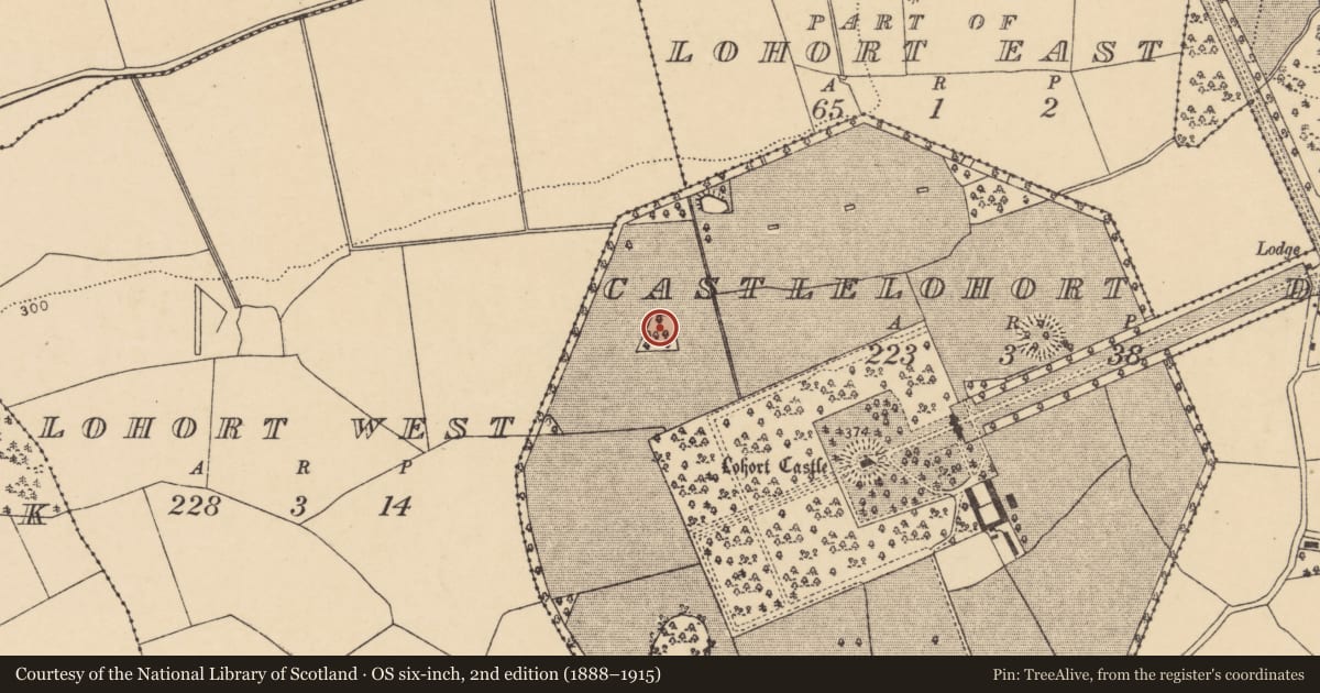 Ordnance Survey six-inch map, 2nd edition (1888–1915) covering the location of Enclosure, Castlelohort Demesne, County Cork, with a pin at the register's coordinates