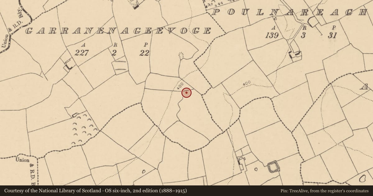 Ordnance Survey six-inch map, 2nd edition (1888–1915) covering the location of Fulacht fia, Garranenageevoge, County Cork, with a pin at the register's coordinates