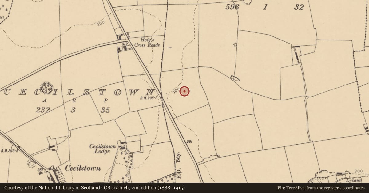 Ordnance Survey six-inch map, 2nd edition (1888–1915) covering the location of Field system, Scart (Orrery and Kilmore By., Ballyclogh Par.), County Cork, with a pin at the register's coordinates