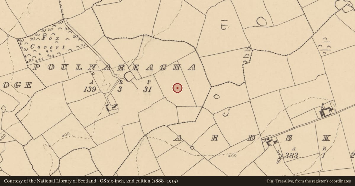 Ordnance Survey six-inch map, 2nd edition (1888–1915) covering the location of Field system, Poulnareagha, County Cork, with a pin at the register's coordinates
