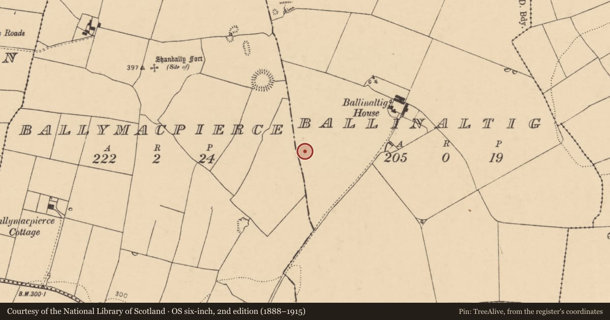 Ordnance Survey six-inch map, 2nd edition (1888–1915) covering the location of Field system, Ballinaltig, Ballymacpierce, County Cork, with a pin at the register's coordinates
