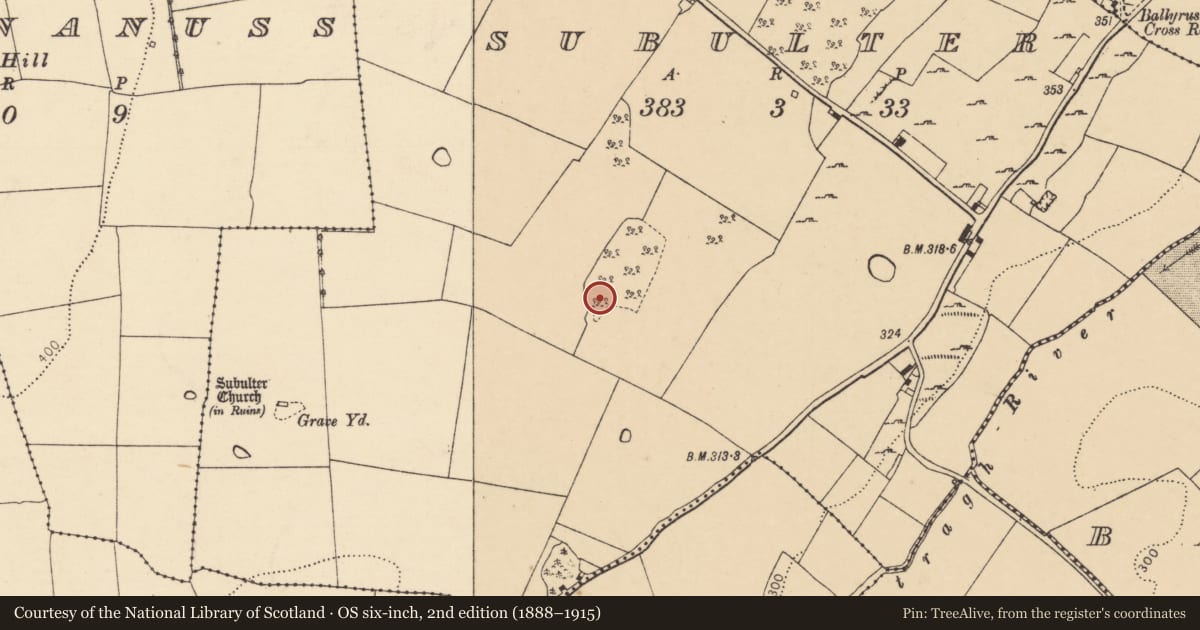 Ordnance Survey six-inch map, 2nd edition (1888–1915) covering the location of Field system, Subulter, County Cork, with a pin at the register's coordinates