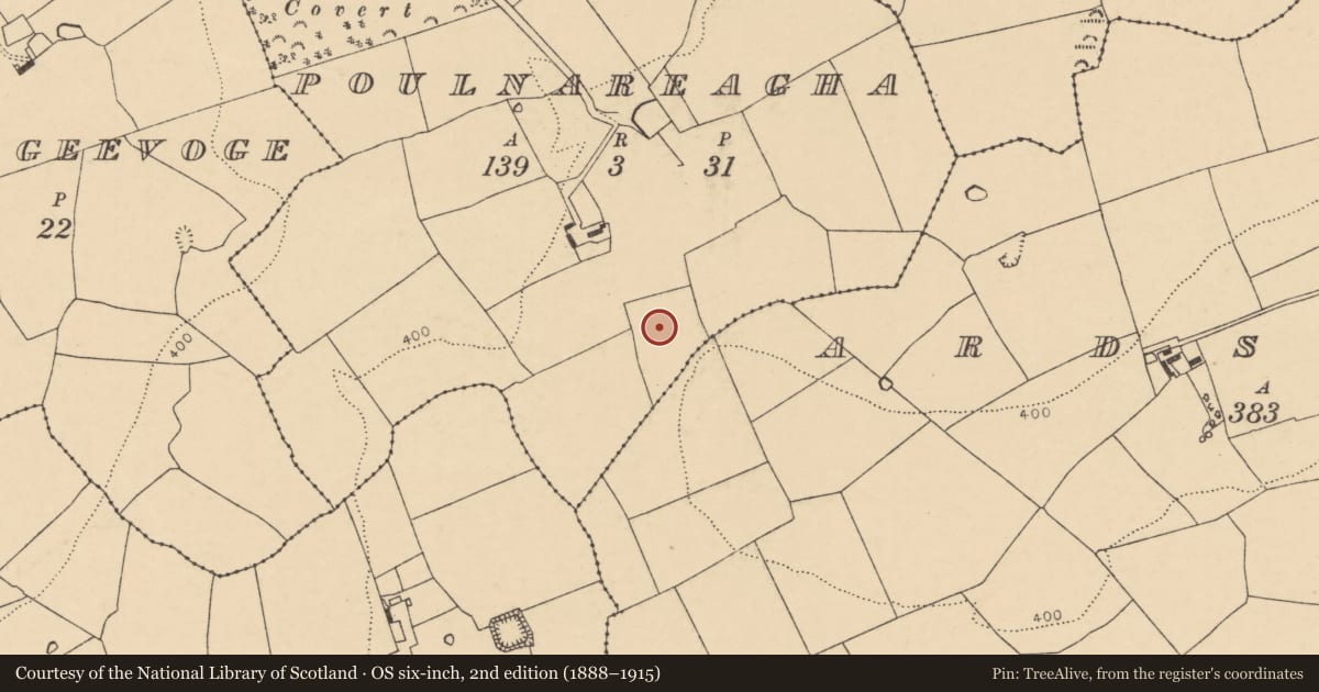 Ordnance Survey six-inch map, 2nd edition (1888–1915) covering the location of Ring-ditch, Poulnareagha, County Cork, with a pin at the register's coordinates