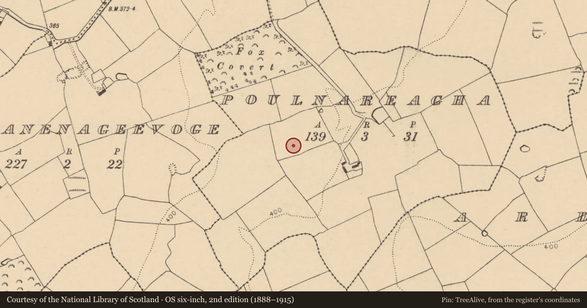 Ordnance Survey six-inch map, 2nd edition (1888–1915) covering the location of Enclosure, Poulnareagha, County Cork, with a pin at the register's coordinates