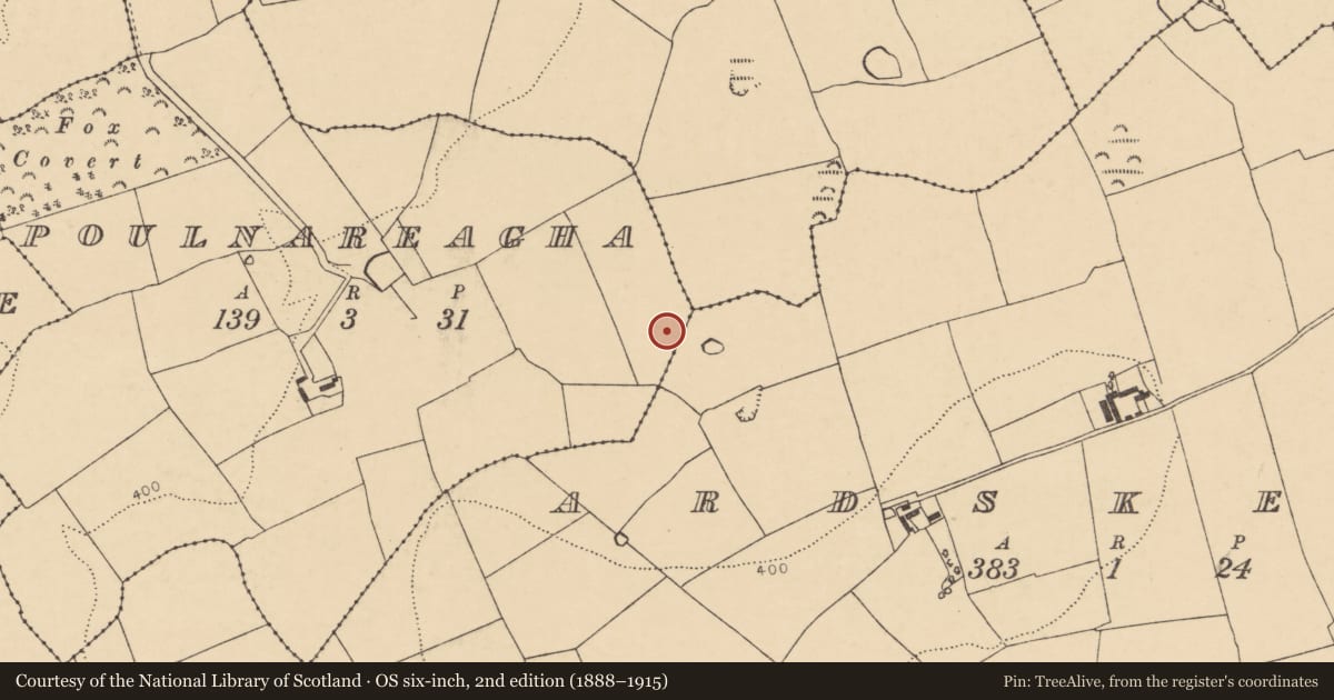 Ordnance Survey six-inch map, 2nd edition (1888–1915) covering the location of Enclosure, Poulnareagha, County Cork, with a pin at the register's coordinates