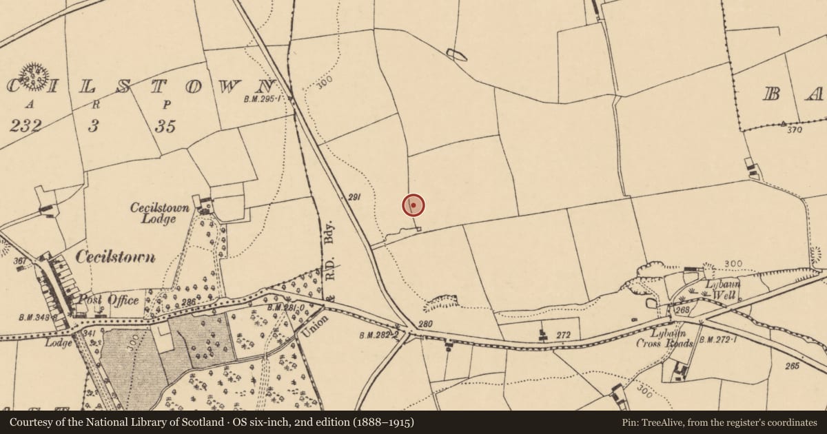 Ordnance Survey six-inch map, 2nd edition (1888–1915) covering the location of Enclosure, Scart (Orrery and Kilmore By., Ballyclogh Par.), County Cork, with a pin at the register's coordinates