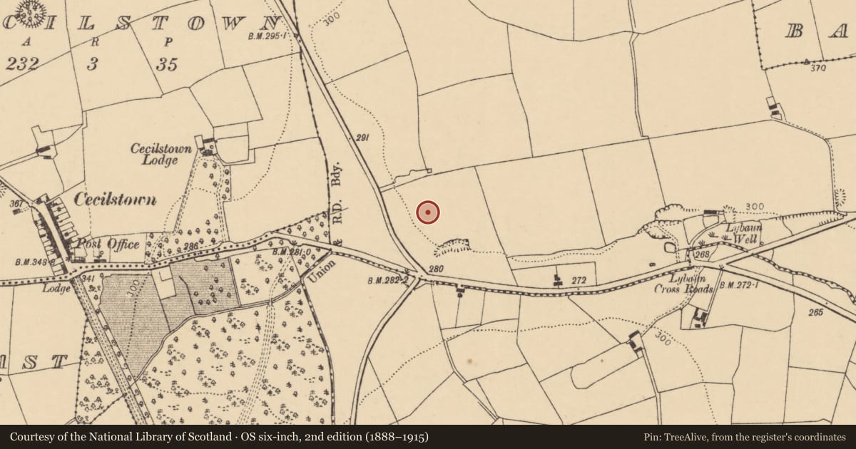 Ordnance Survey six-inch map, 2nd edition (1888–1915) covering the location of Field system, Scart (Orrery and Kilmore By., Ballyclogh Par.), County Cork, with a pin at the register's coordinates