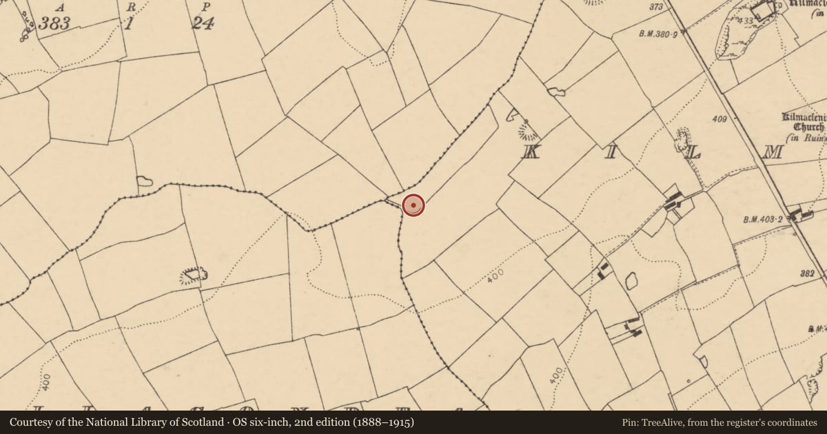 Ordnance Survey six-inch map, 2nd edition (1888–1915) covering the location of Burnt mound, Kilmaclenine, County Cork, with a pin at the register's coordinates