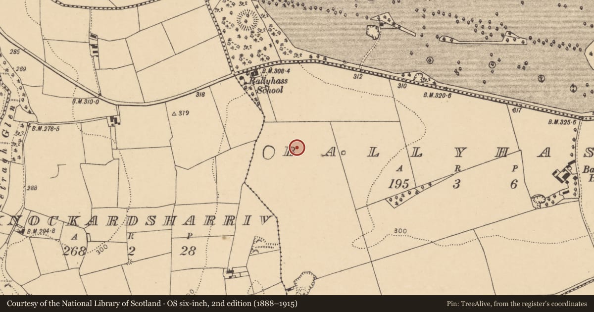 Ordnance Survey six-inch map, 2nd edition (1888–1915) covering the location of Burnt mound, Ballyhass, County Cork, with a pin at the register's coordinates