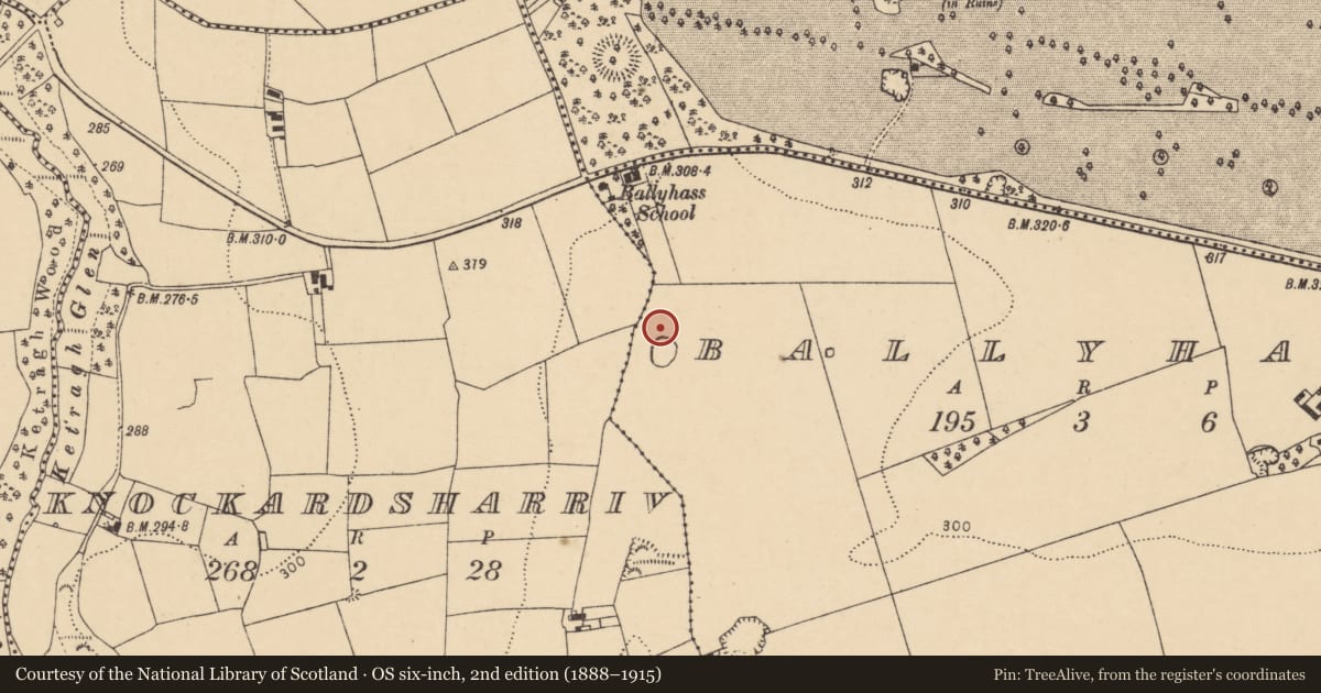 Ordnance Survey six-inch map, 2nd edition (1888–1915) covering the location of Burnt mound, Ballyhass, County Cork, with a pin at the register's coordinates
