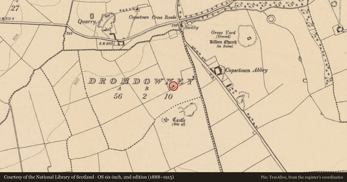 Ordnance Survey six-inch map, 2nd edition (1888–1915) covering the location of Excavation - miscellaneous, Dromdowney, County Cork, with a pin at the register's coordinates