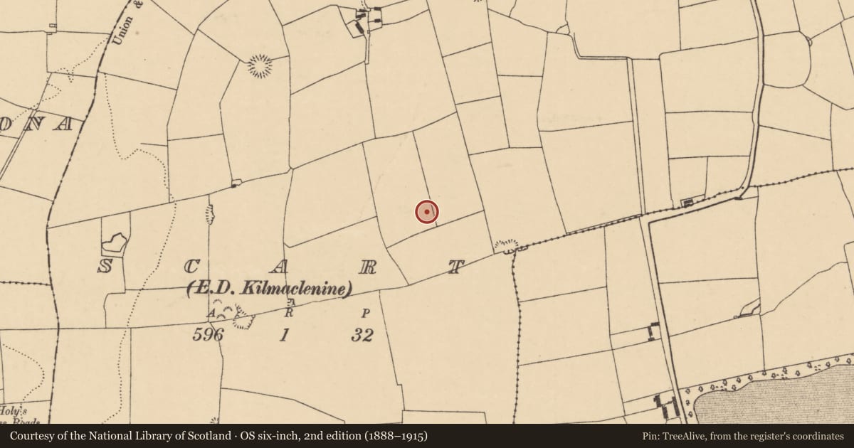 Ordnance Survey six-inch map, 2nd edition (1888–1915) covering the location of Ring-ditch, Scart (Orrery and Kilmore By., Ballyclogh Par.), County Cork, with a pin at the register's coordinates