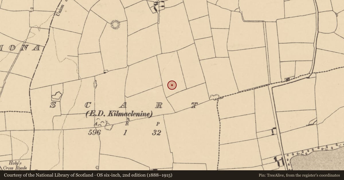Ordnance Survey six-inch map, 2nd edition (1888–1915) covering the location of Ring-ditch, Scart (Orrery and Kilmore By., Ballyclogh Par.), County Cork, with a pin at the register's coordinates