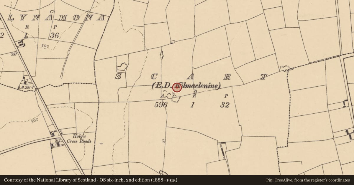 Ordnance Survey six-inch map, 2nd edition (1888–1915) covering the location of Ring-ditch, Scart (Orrery and Kilmore By., Ballyclogh Par.), County Cork, with a pin at the register's coordinates