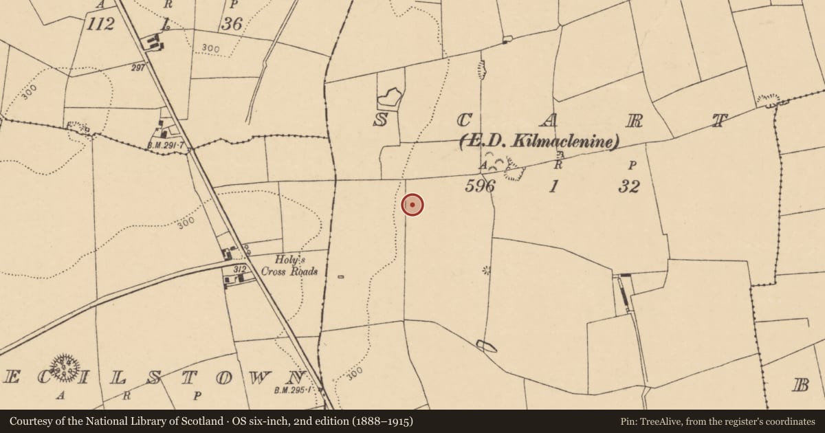 Ordnance Survey six-inch map, 2nd edition (1888–1915) covering the location of Furnace, Scart (Orrery and Kilmore By., Ballyclogh Par.), County Cork, with a pin at the register's coordinates