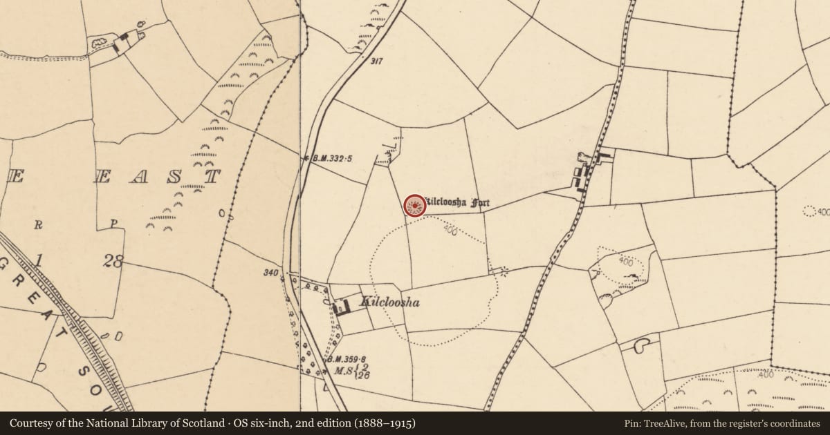 Ordnance Survey six-inch map, 2nd edition (1888–1915) covering the location of Ringfort - rath, Ballybeg West, County Cork, with a pin at the register's coordinates