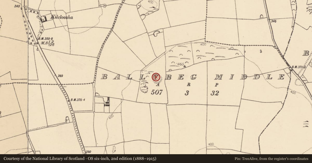 Ordnance Survey six-inch map, 2nd edition (1888–1915) covering the location of Ringfort - rath, Ballybeg Middle, County Cork, with a pin at the register's coordinates