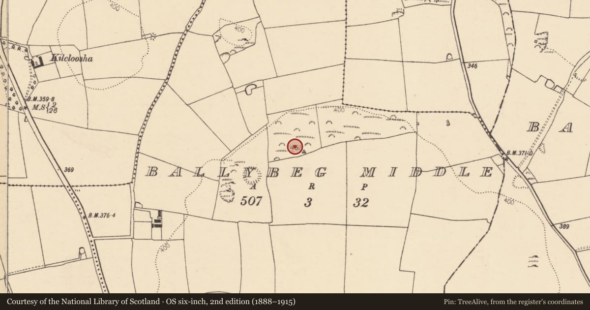 Ordnance Survey six-inch map, 2nd edition (1888–1915) covering the location of Ring-ditch, Ballybeg Middle, County Cork, with a pin at the register's coordinates