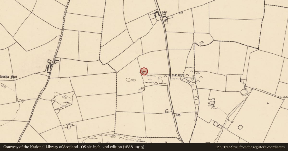 Ordnance Survey six-inch map, 2nd edition (1888–1915) covering the location of Ringfort - rath, Ballybeg East, County Cork, with a pin at the register's coordinates