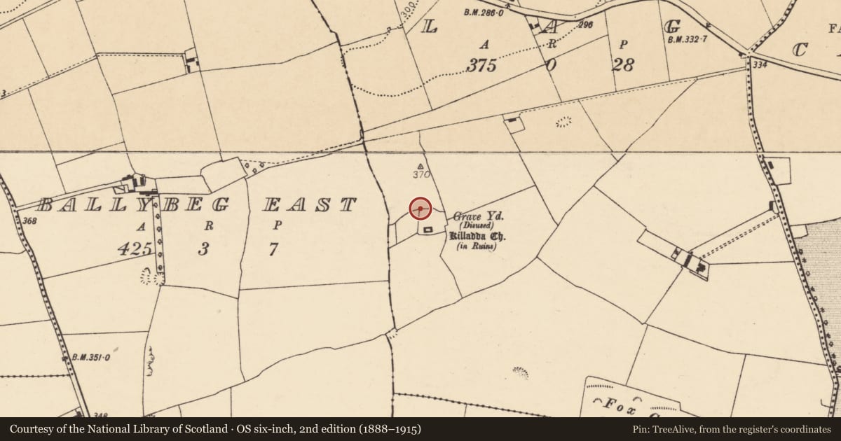 Ordnance Survey six-inch map, 2nd edition (1888–1915) covering the location of Graveyard, Lag, County Cork, with a pin at the register's coordinates