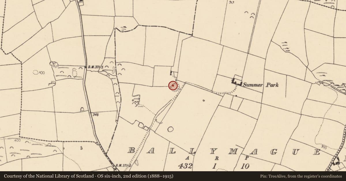 Ordnance Survey six-inch map, 2nd edition (1888–1915) covering the location of Ringfort - rath, Ballymague, County Cork, with a pin at the register's coordinates