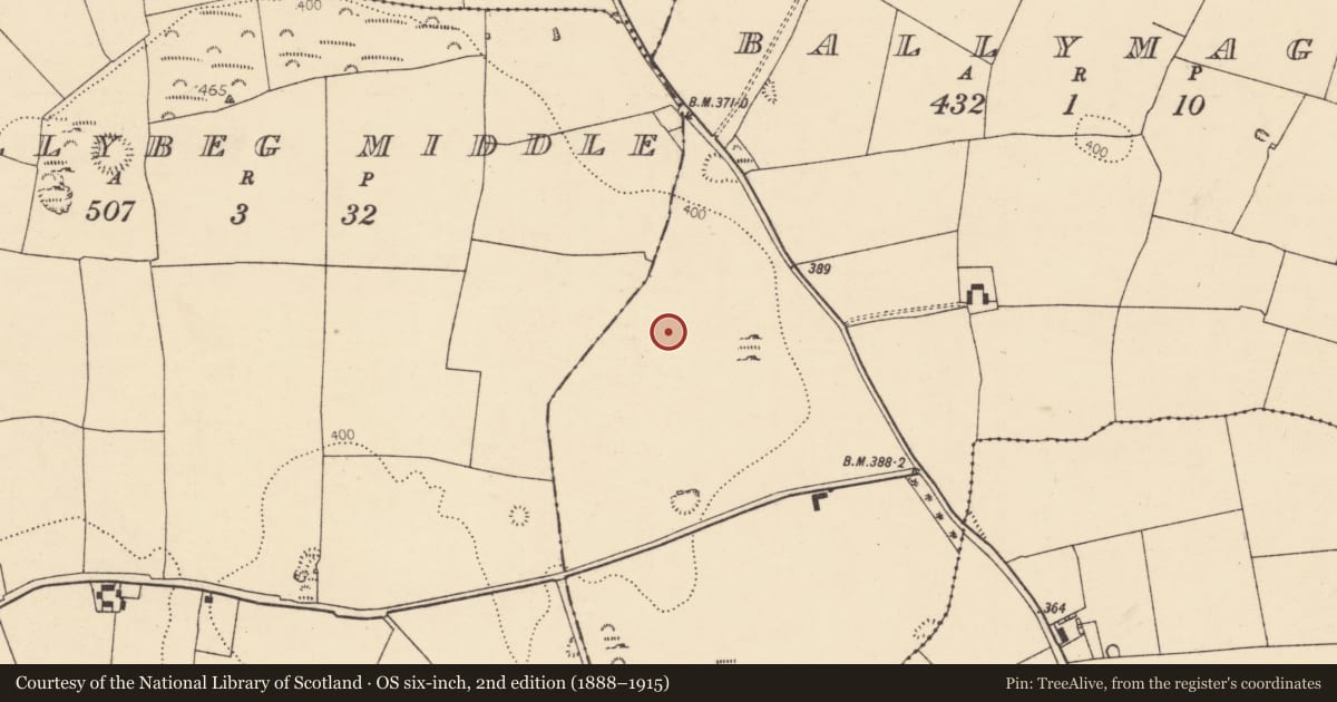 Ordnance Survey six-inch map, 2nd edition (1888–1915) covering the location of Barrow - ring-barrow, Ballymague, County Cork, with a pin at the register's coordinates