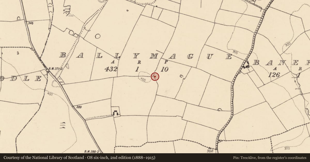 Ordnance Survey six-inch map, 2nd edition (1888–1915) covering the location of Ringfort - rath, Ballymague, County Cork, with a pin at the register's coordinates