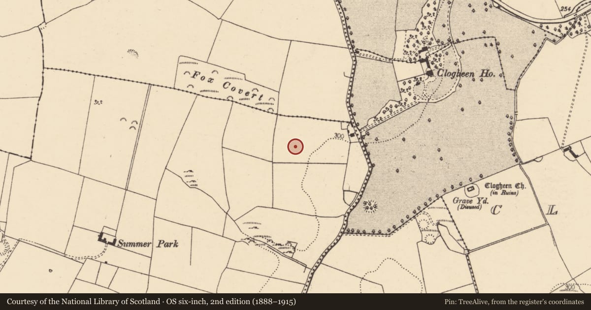 Ordnance Survey six-inch map, 2nd edition (1888–1915) covering the location of Ringfort - rath, Ballymague, County Cork, with a pin at the register's coordinates