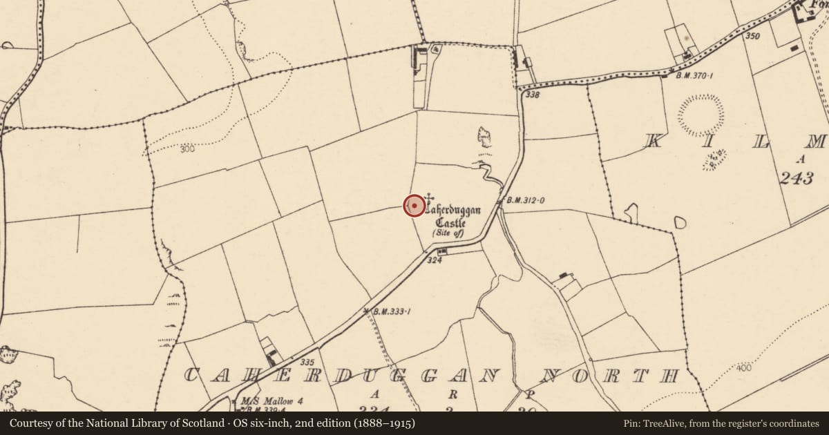Ordnance Survey six-inch map, 2nd edition (1888–1915) covering the location of Ringfort - rath, Caherduggan North, County Cork, with a pin at the register's coordinates
