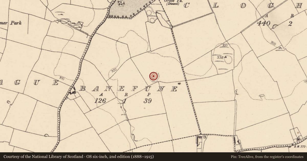 Ordnance Survey six-inch map, 2nd edition (1888–1915) covering the location of Ringfort - rath, Banefune, County Cork, with a pin at the register's coordinates