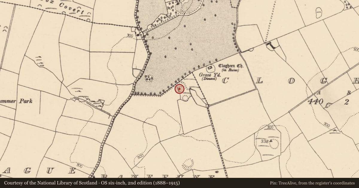 Ordnance Survey six-inch map, 2nd edition (1888–1915) covering the location of Ringfort - rath, Banefune, County Cork, with a pin at the register's coordinates