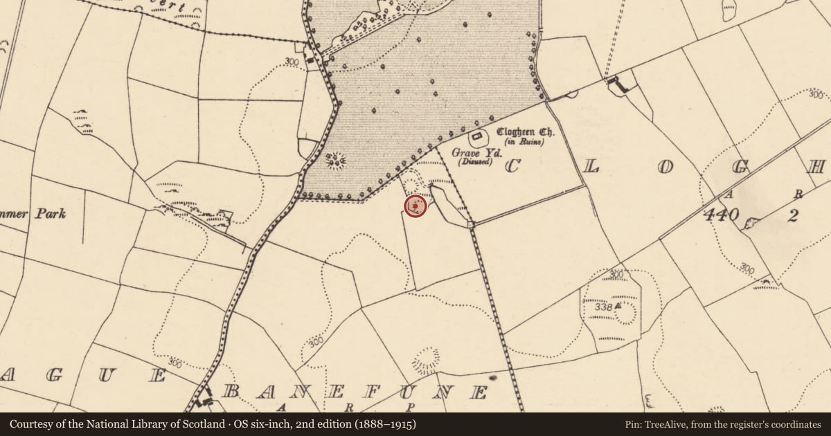 Ordnance Survey six-inch map, 2nd edition (1888–1915) covering the location of Ringfort - rath, Banefune, County Cork, with a pin at the register's coordinates