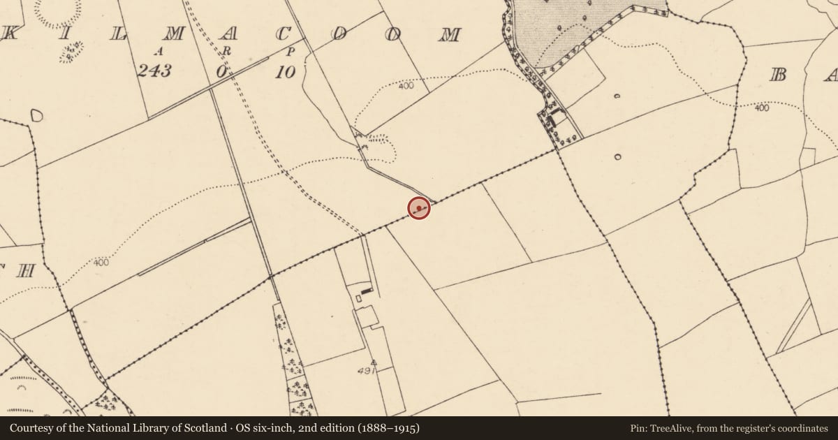 Ordnance Survey six-inch map, 2nd edition (1888–1915) covering the location of Ringfort - rath, Ballybrack, Kilmacoom, County Cork, with a pin at the register's coordinates