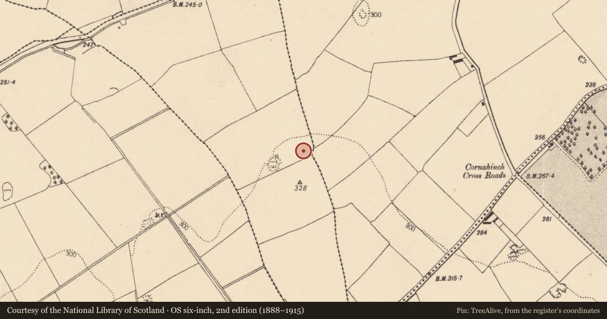 Ordnance Survey six-inch map, 2nd edition (1888–1915) covering the location of Souterrain, Kilburn, County Cork, with a pin at the register's coordinates