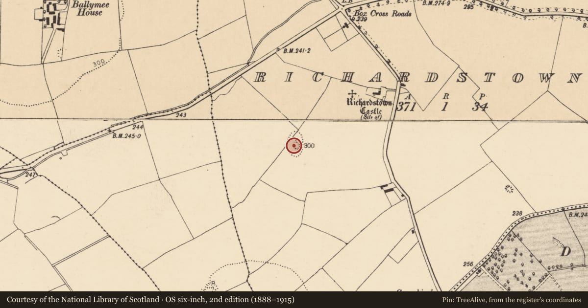 Ordnance Survey six-inch map, 2nd edition (1888–1915) covering the location of Quarry, Richardstown, County Cork, with a pin at the register's coordinates