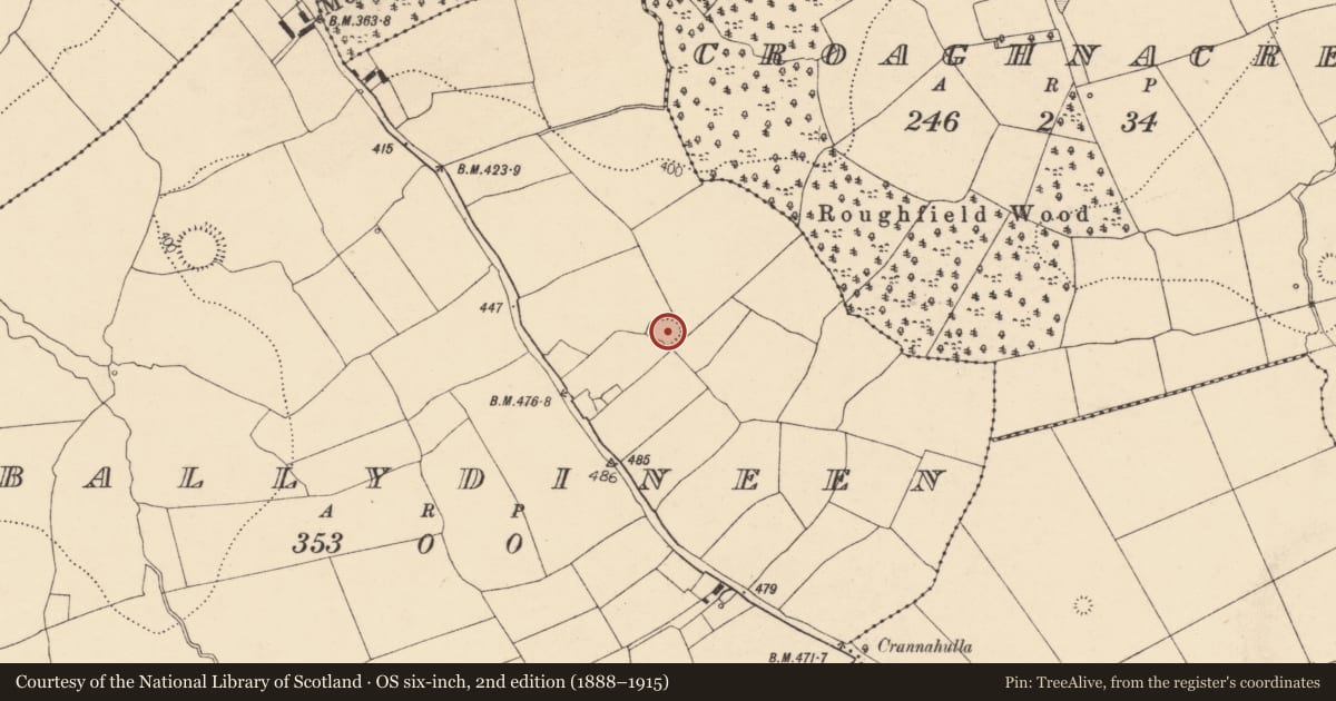Ordnance Survey six-inch map, 2nd edition (1888–1915) covering the location of Ringfort - rath, Ballydineen (Fermoy By., Doneraile Par.), County Cork, with a pin at the register's coordinates