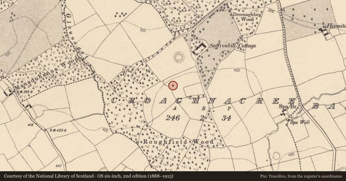 Ordnance Survey six-inch map, 2nd edition (1888–1915) covering the location of Ringfort - rath, Croaghnacree, County Cork, with a pin at the register's coordinates